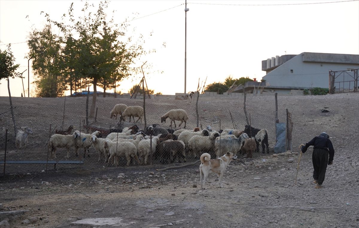 İnsan Sevgisi ve Çevre Bilinciyle Örnek Bir Figür