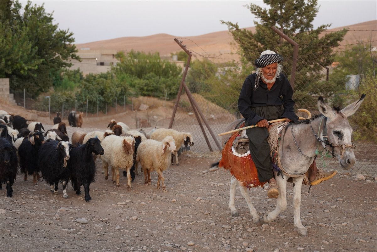 Kerkük Çobanının Çocuklara Kuran-ı Kerim Sevgisi Aşılayan Hikayesi