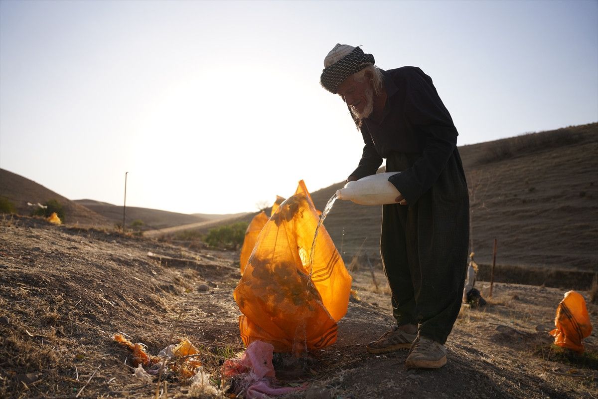 Kerkük Çobanının Çocuklara Kuran-ı Kerim Sevgisi Aşılayan Hikayesi