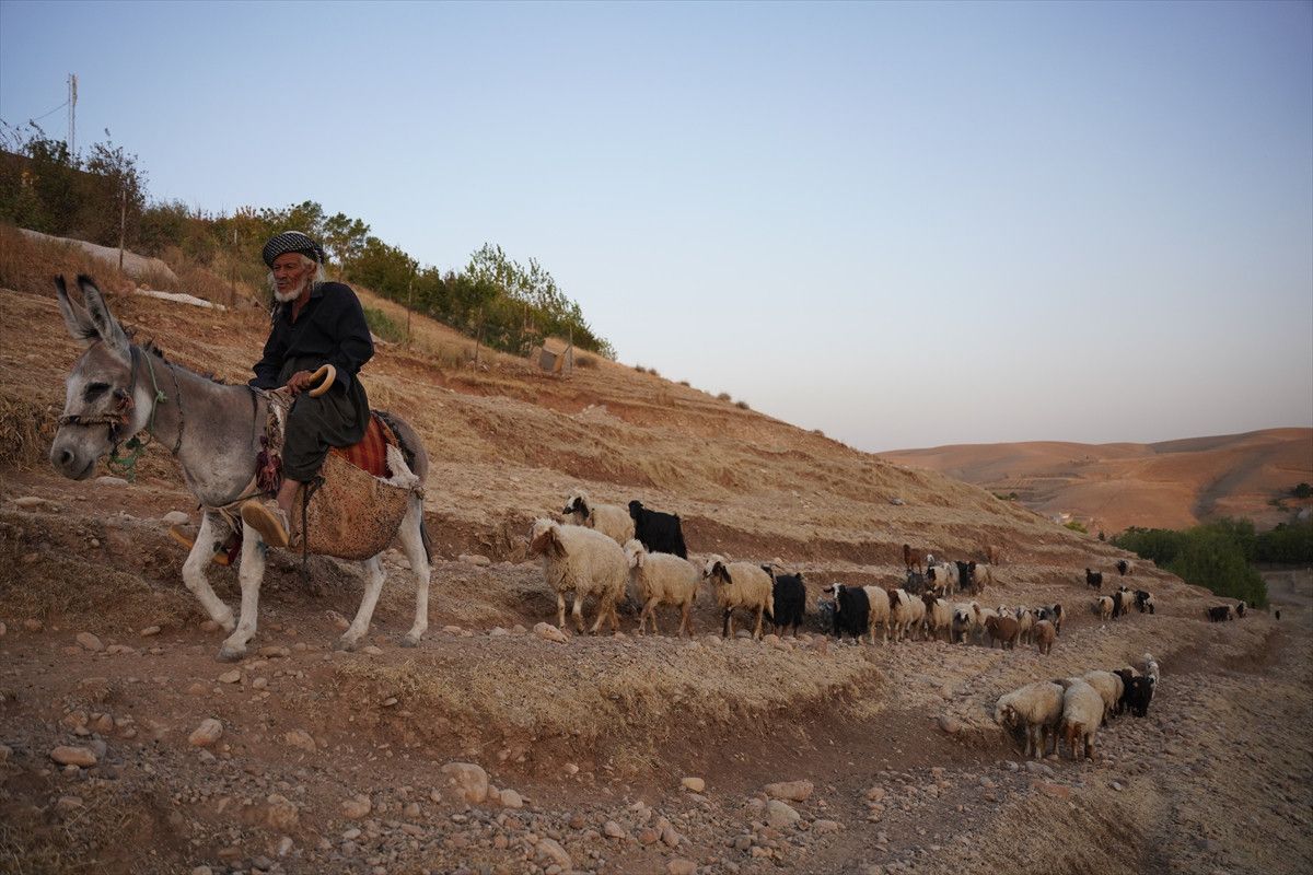 Kerkük Çobanının Çocuklara Kuran-ı Kerim Sevgisi Aşılayan Hikayesi