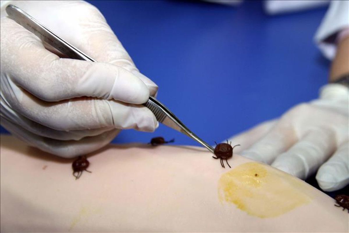 KKK'da 110 Hastadan 100'ü Kurtarıldı: Başarı Hikayeleri ve Güncel Bilgiler