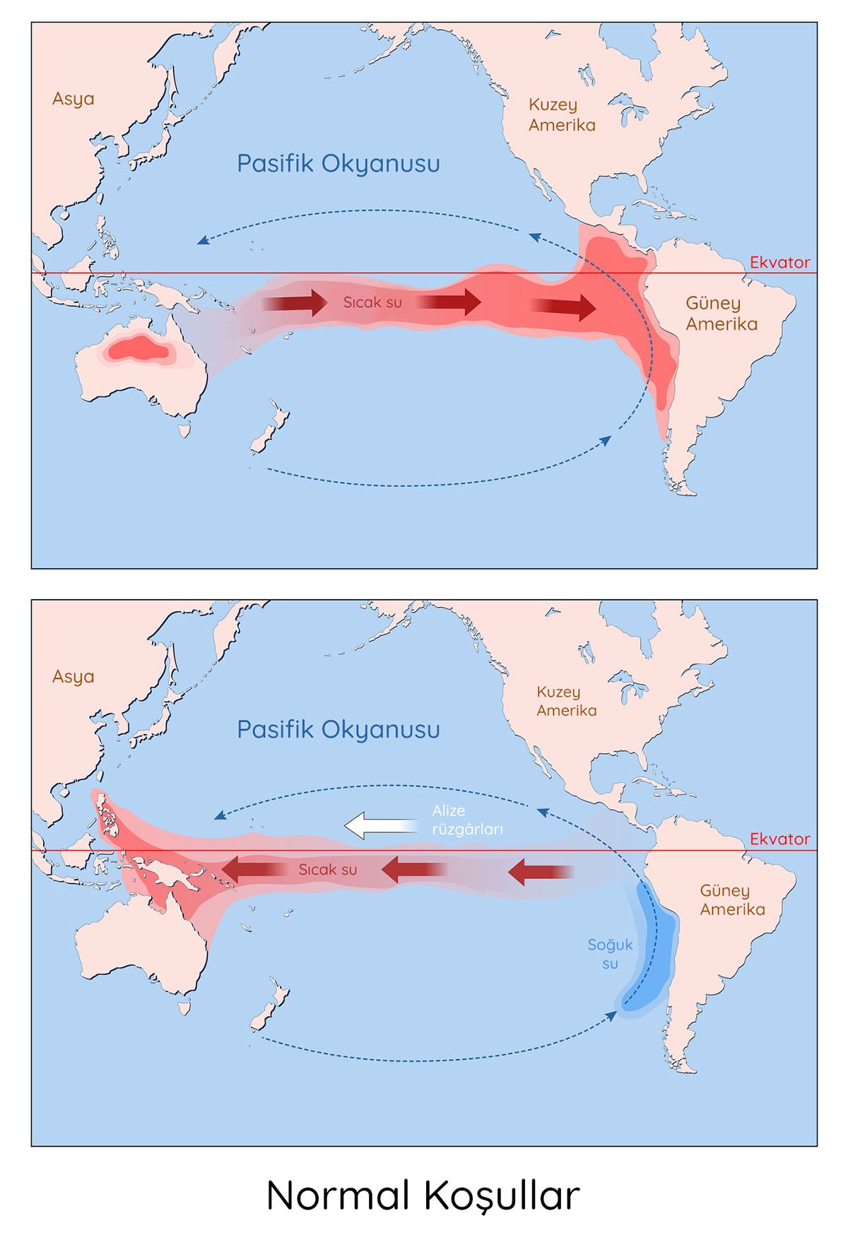 İklim Tahminleri ve Hayatımızdaki Rolü