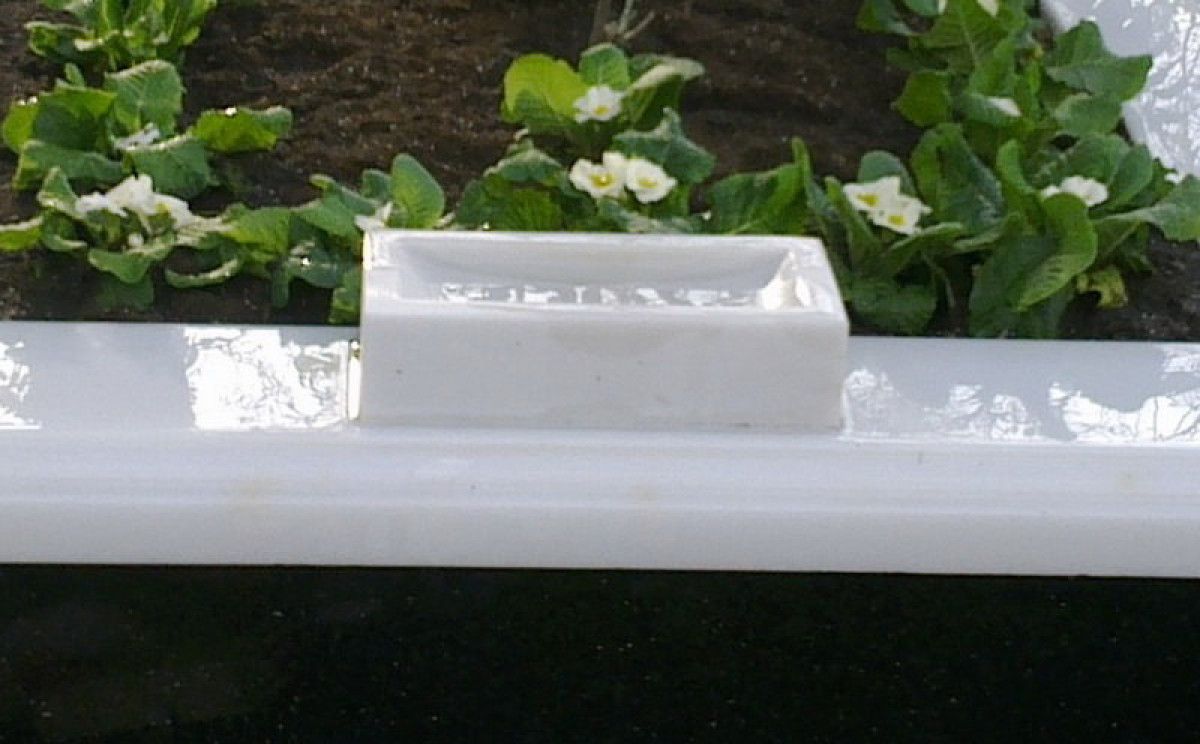 Farklı Kültürlerdeki Anlam ve Kullanımlar