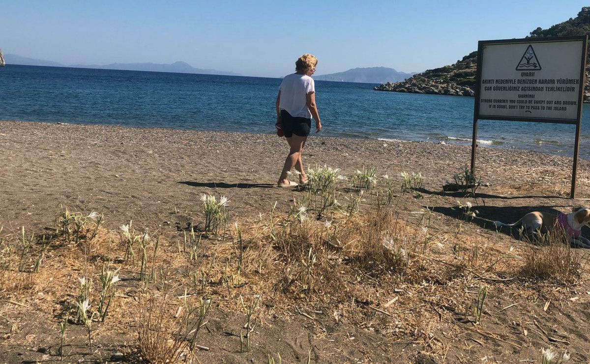 Çevre Bilincinin Önemi ve Ceza Uygulamaları