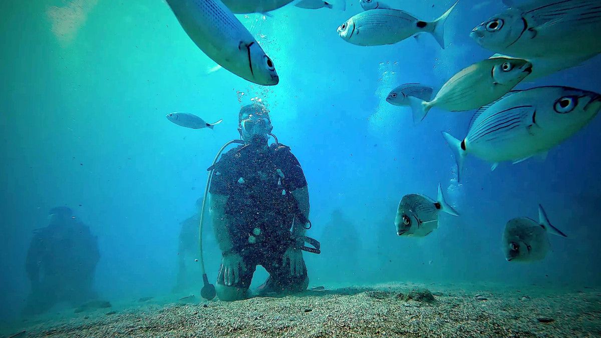 Katılımcıların Deneyimi ve Düşünceleri