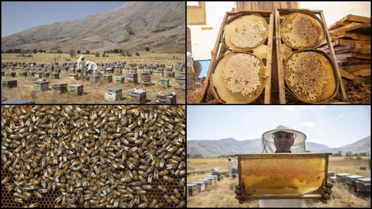 Deneyim ve Doğa Bilgisinin Birleşimi