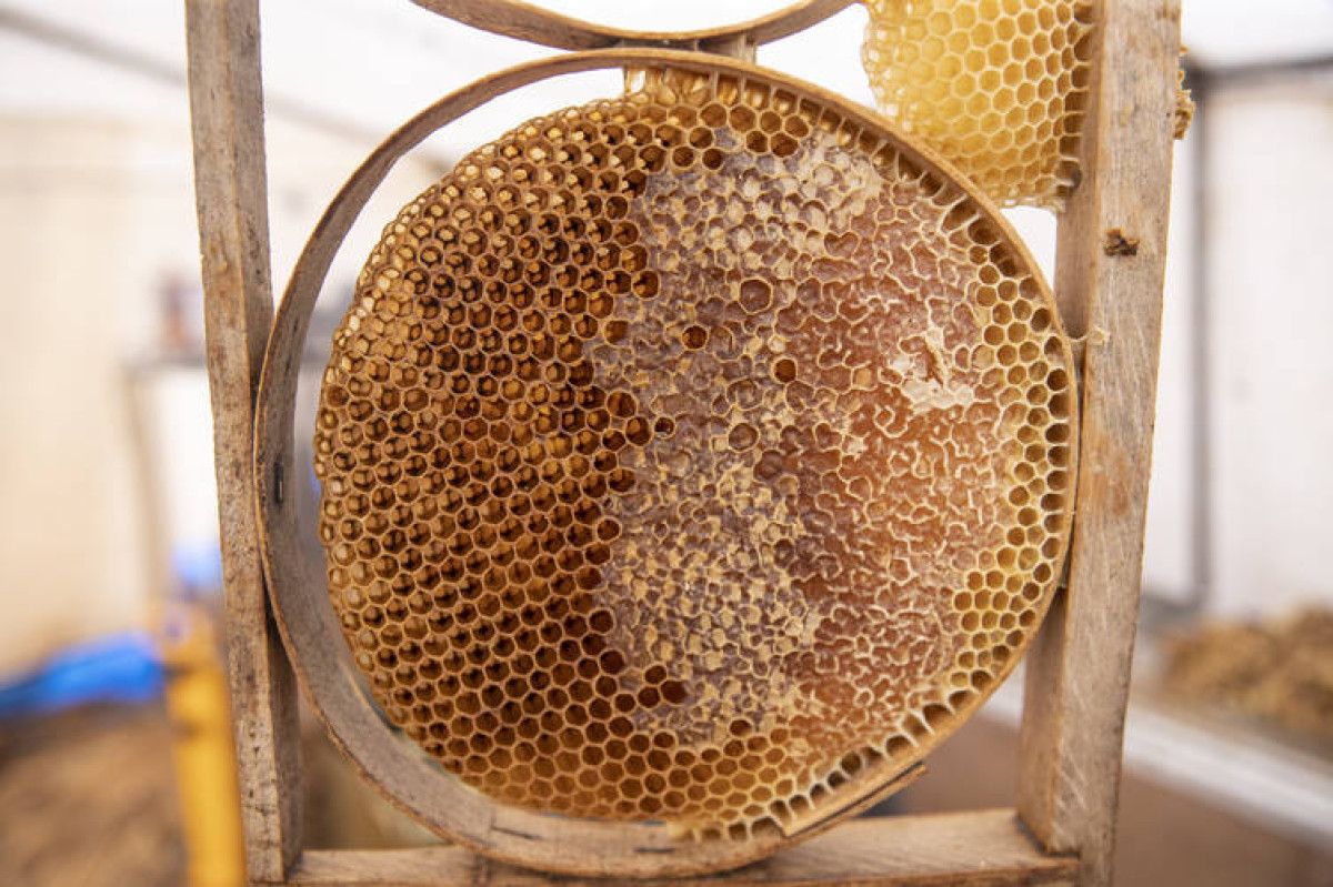 Bölgeye Gelenler için Balın Önemi