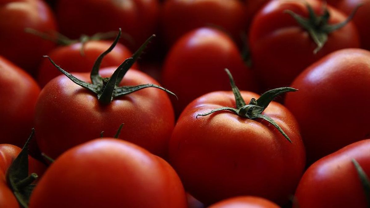 Bazı önemli kanser önleyici gıdalar ve faydaları