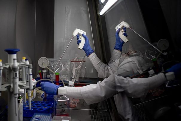 Mutfağınızın Vazgeçilmezi: Kanseri Önleyen 10 Güçlü Süper Besin