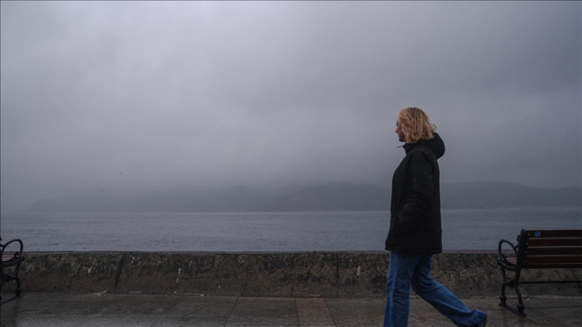 Müziğin Gücü: Ruh ve Bedeni İyileştiren Özel Makamlar