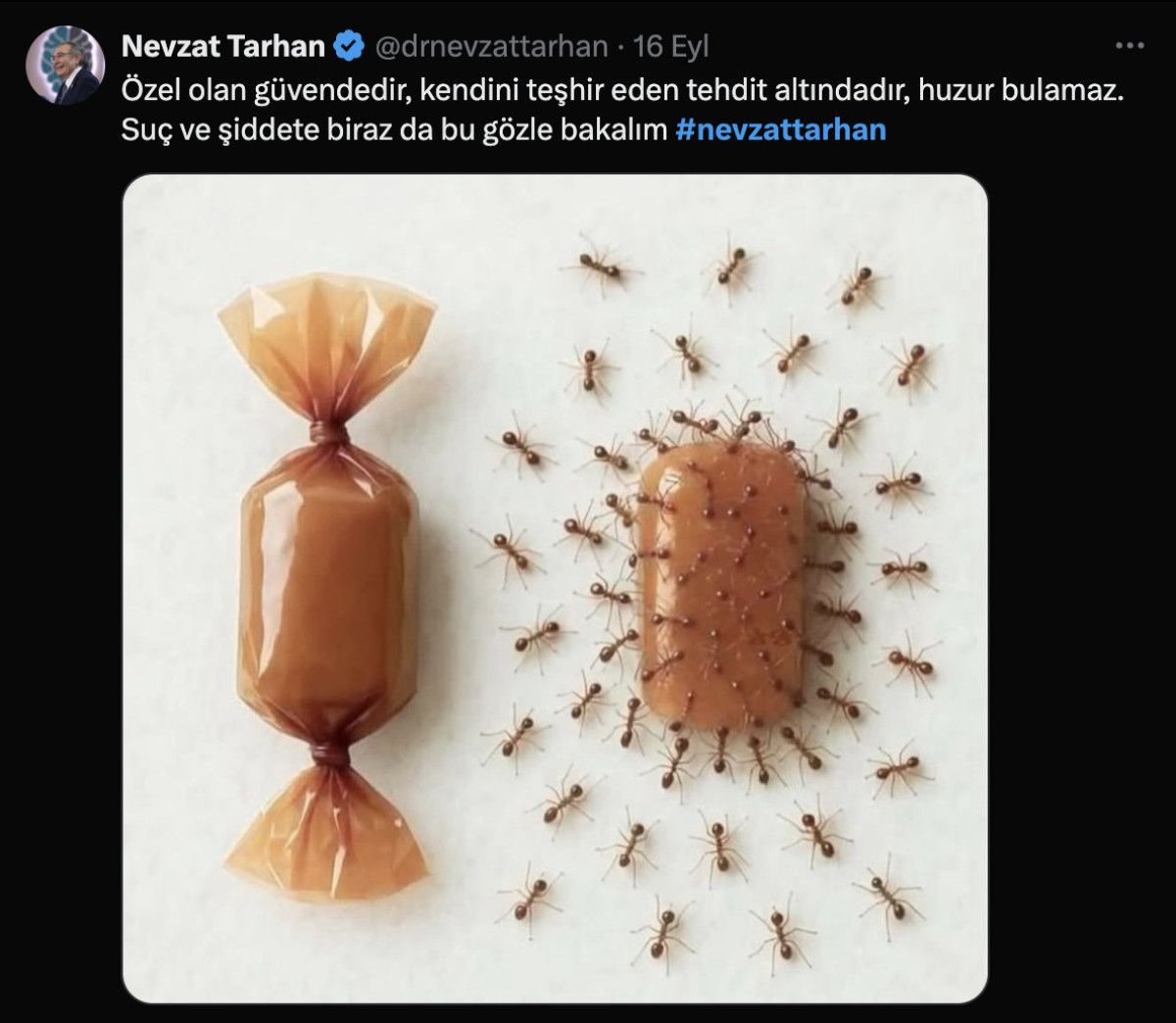 Nevzat Tarhan: Kendini Gösteren, Tehdit Altında Olabilir