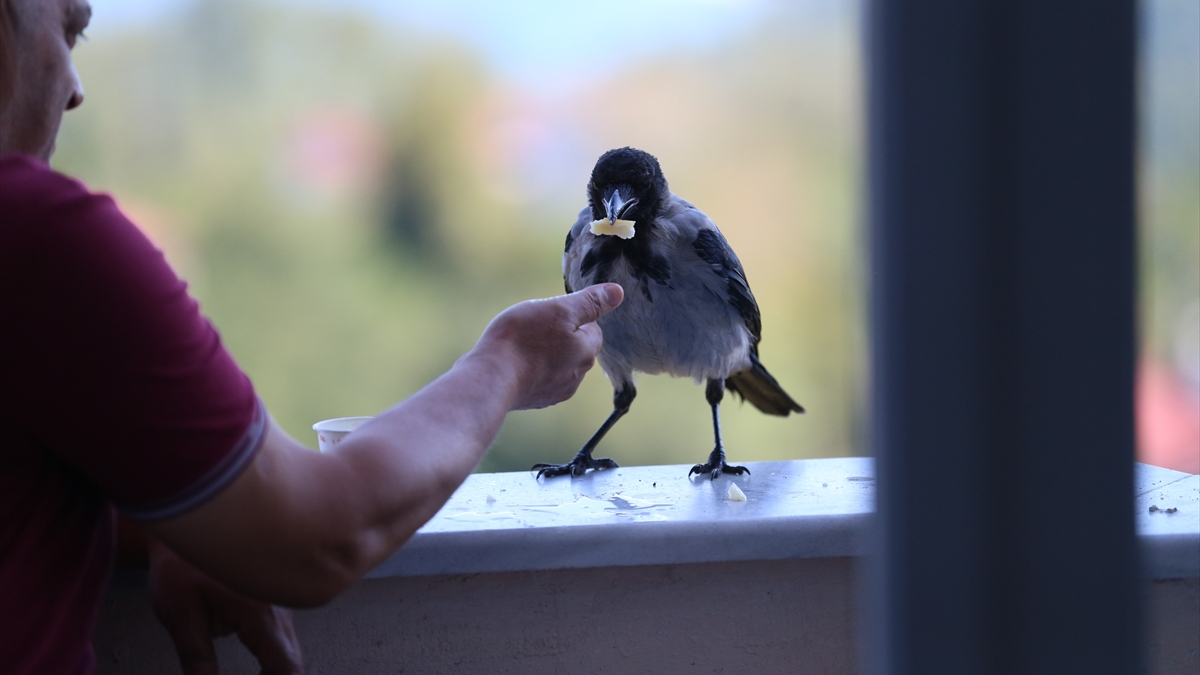 Şakir'in Günlük Rutinleri