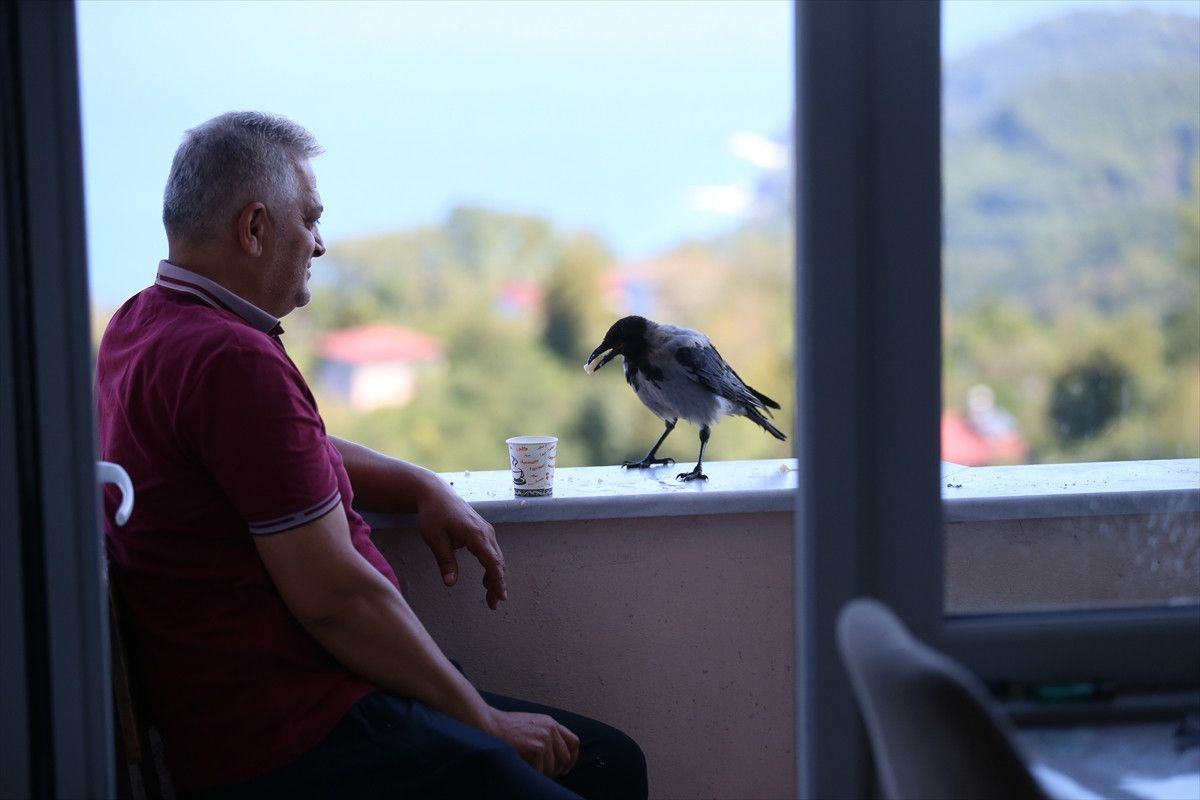 Doğal Yaşamın Bir Parçası