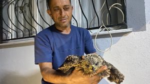 Osmaniye’de Bulunan Şahinle Lezzetli Ciğer Dürüm Deneyimi