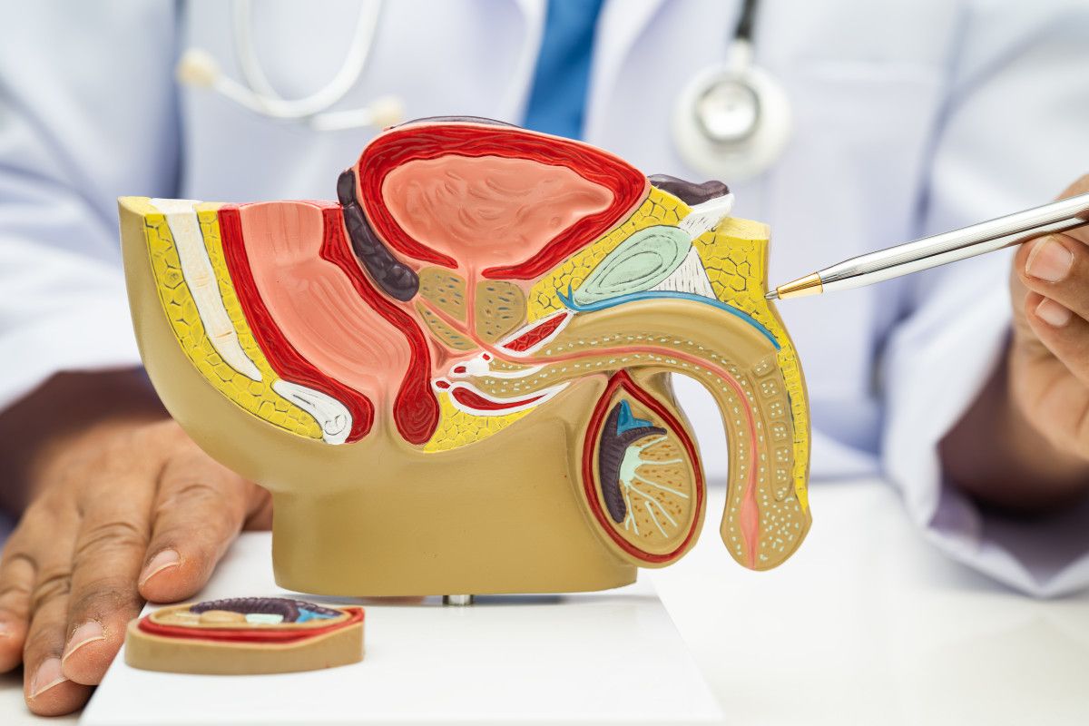 Füzyon Biyopsi: Güncel ve En Etkin Tanı Yöntemi