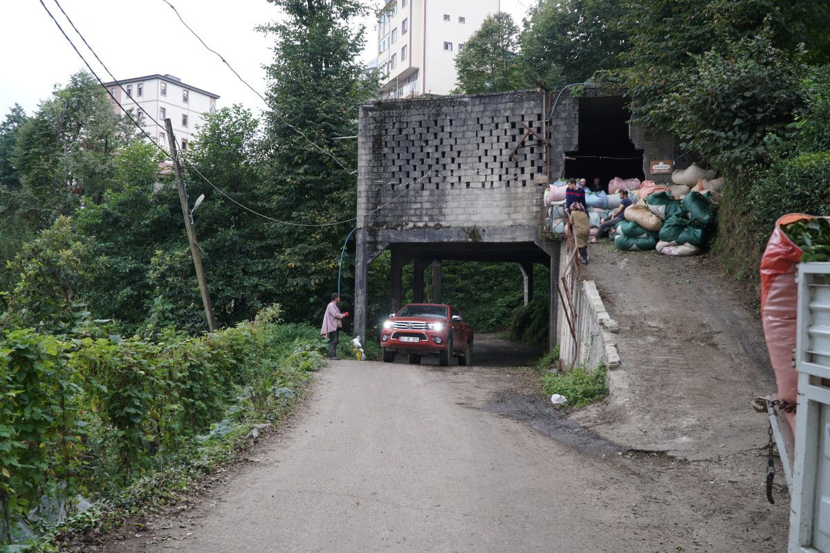 Kamyoncular ve Görüşler