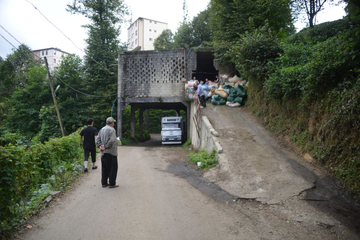 Rizede Eşsiz Bir Çay Deneyimi: Üstü Çay Alım Yeri, Altı Yollar