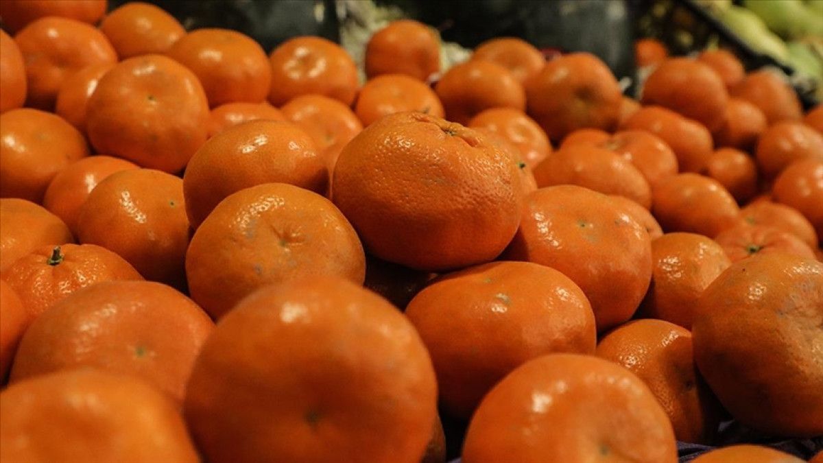 Sağlığınızı Koruyun: Sebze ve Meyvelerdeki Pestisit Kalıntılarına Son