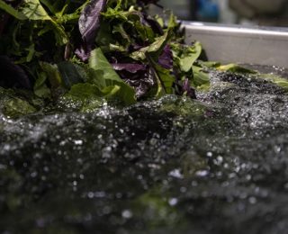 Sağlığınızı Koruyun: Sebze ve Meyvelerdeki Pestisit Kalıntılarına Son