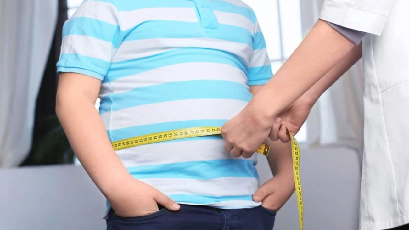 Gerçekleştirilen Çalışmalar ve Mezun Sayısı