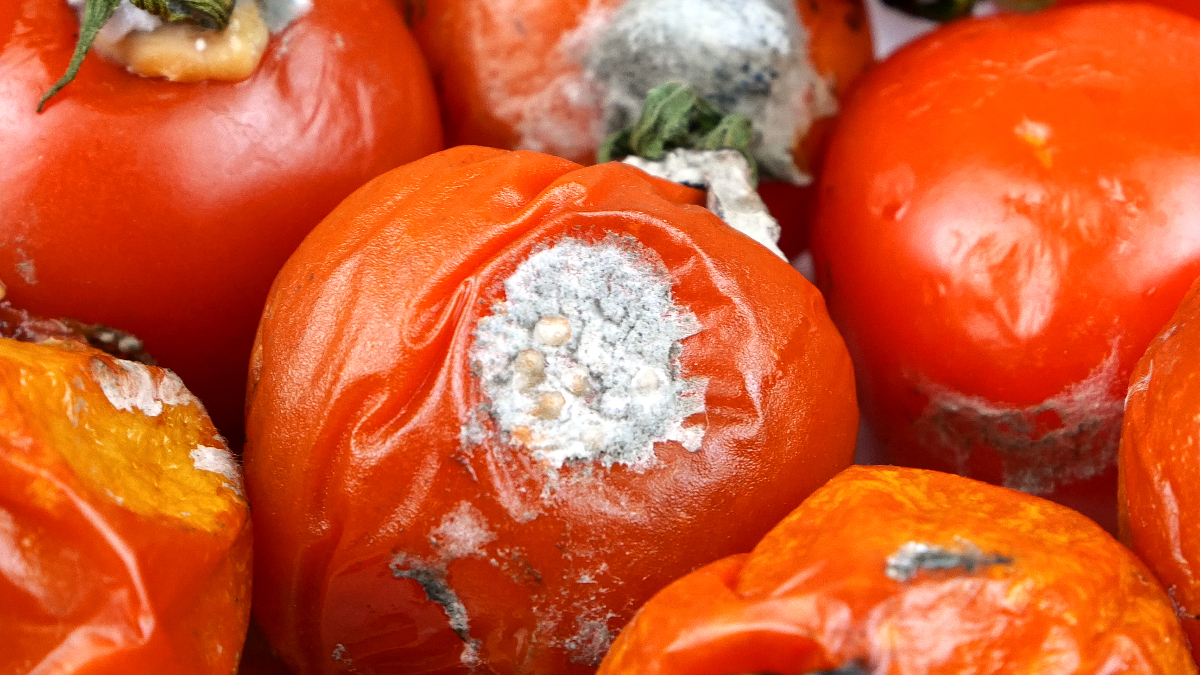 Yaralanma Çeşitleri ve Tüketim Güvenliği