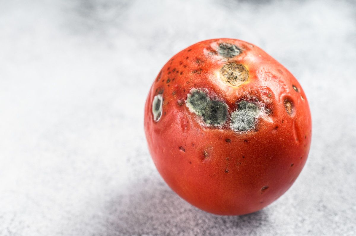 Yaralanma Çeşitleri ve Tüketim Güvenliği