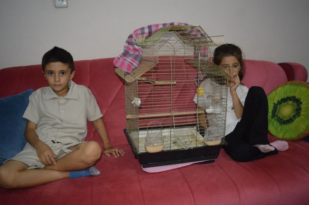 Kardeşlerin Duygusal Bağları ve Papağanla Oynayışları