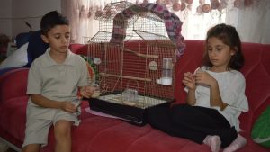 Siirt’te İki Kardeşin Kaçan Kuşları İçin Günlerdir Devam Eden Nöbeti