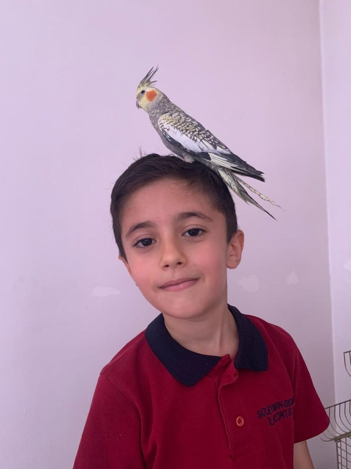 Tüm Çaba ve Endişeler