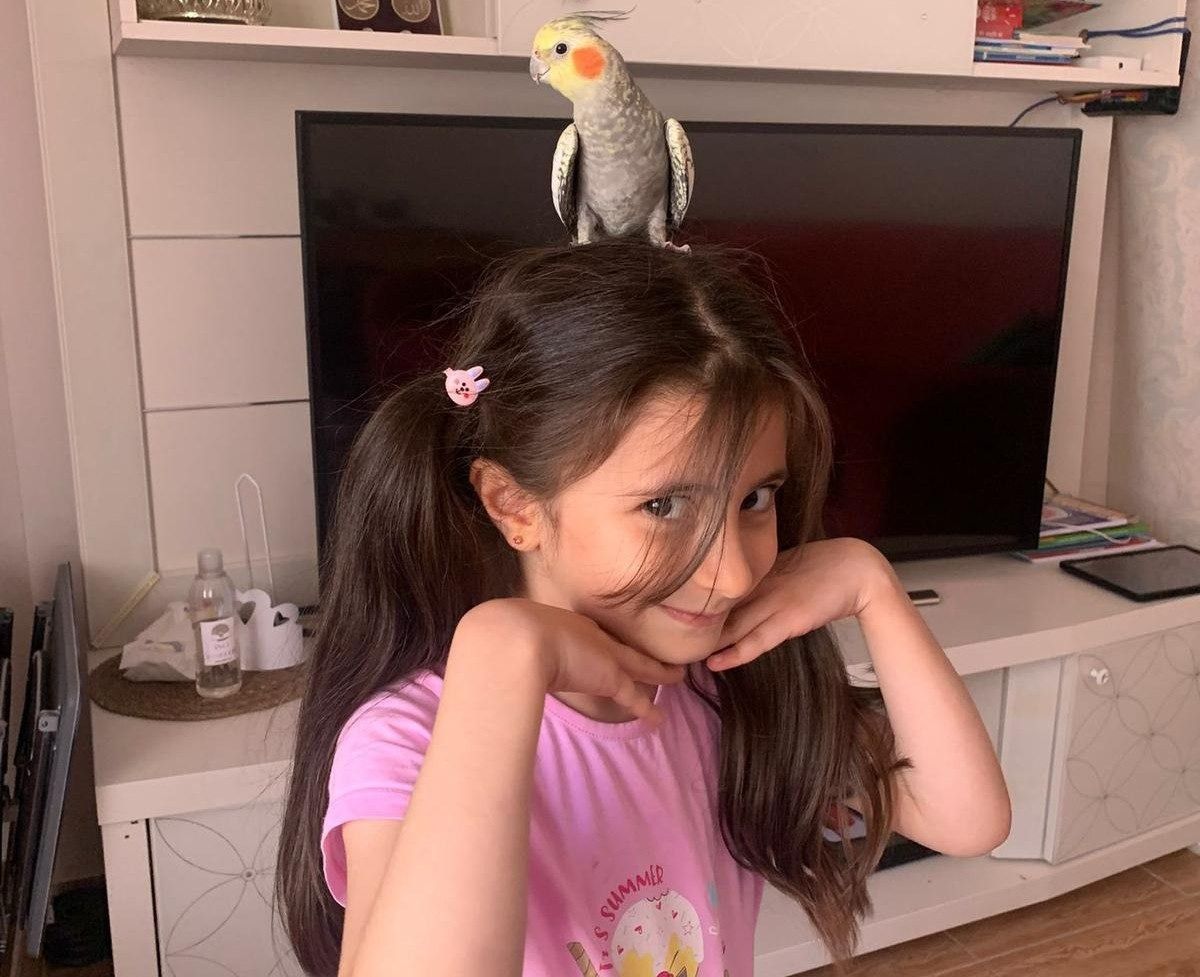 Siirt'te İki Kardeşin Kaçan Kuşları İçin Günlerdir Devam Eden Nöbeti