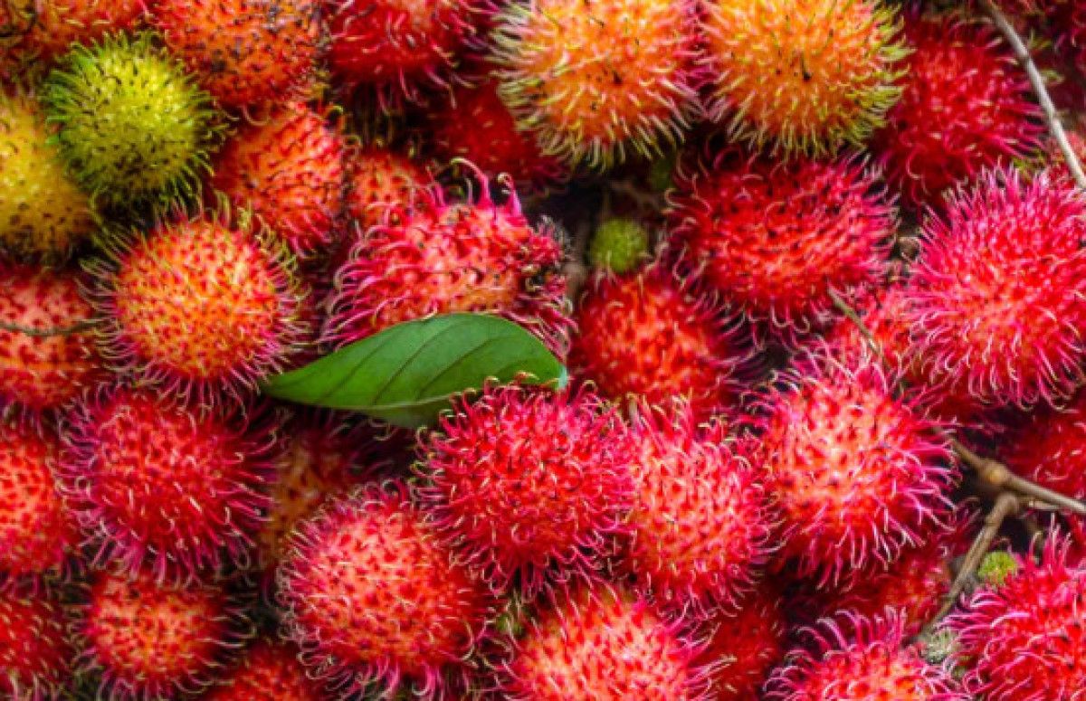 Tüketim ve Güvenlik Önerileri