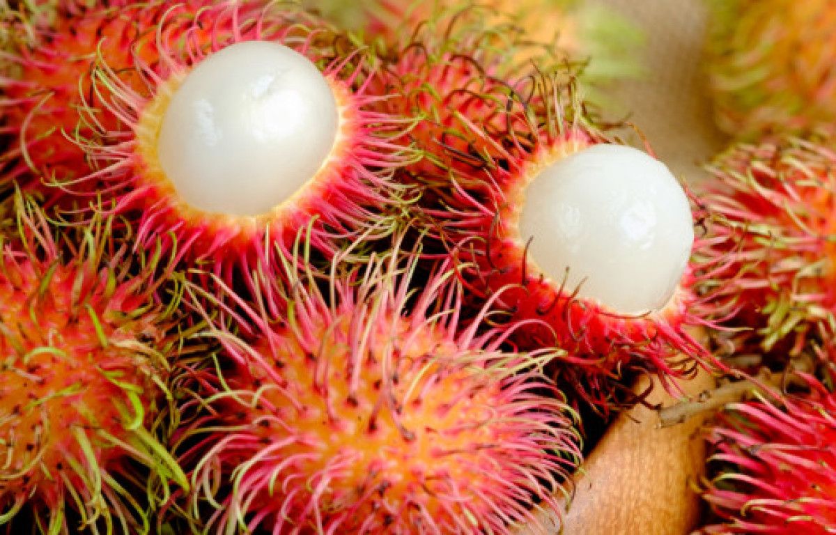 Sindirimden Kalbe: Rambutanın Sağlığa Faydaları ve Ayrıca Bilmeniz Gerekenler