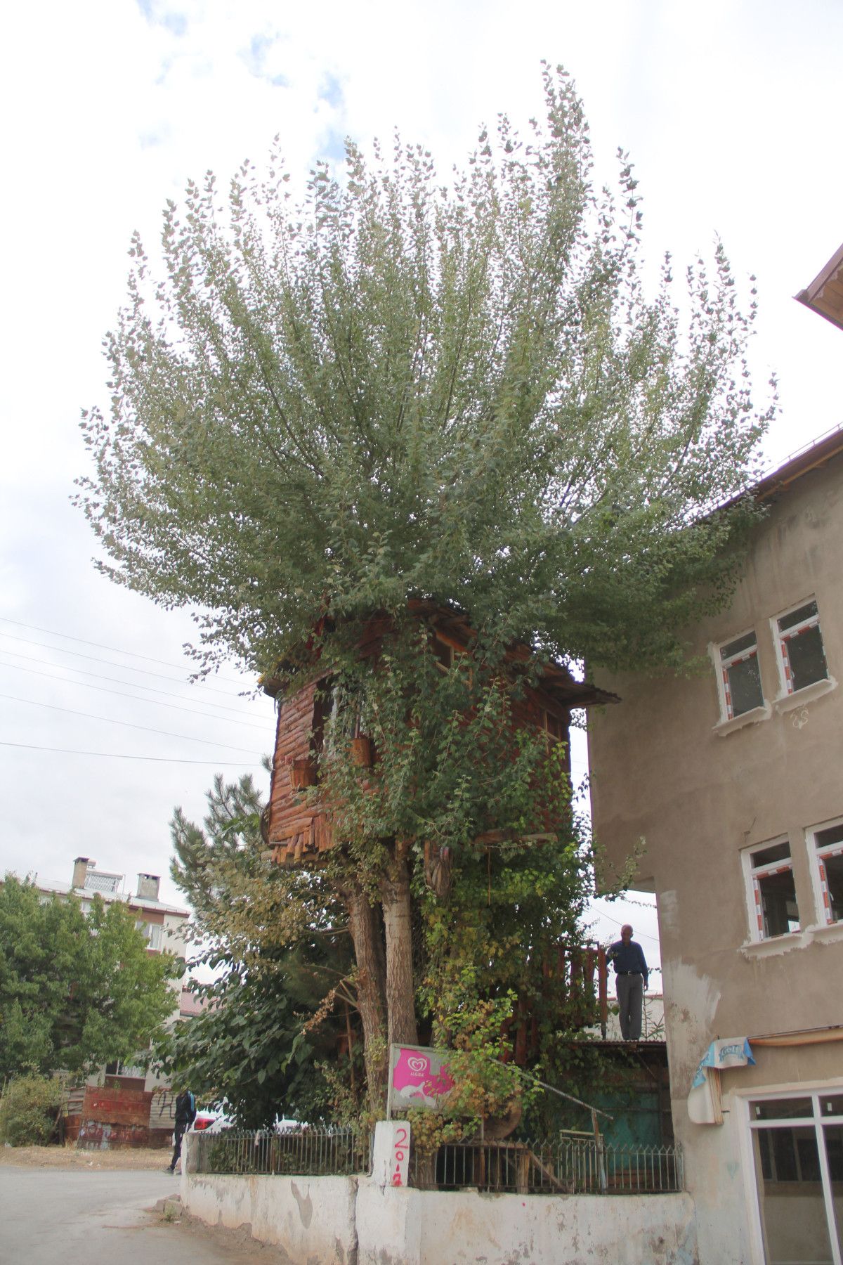 Sivas'ta Babası, Oğlunun Anısını Ağaç Evle Yaşatıyor