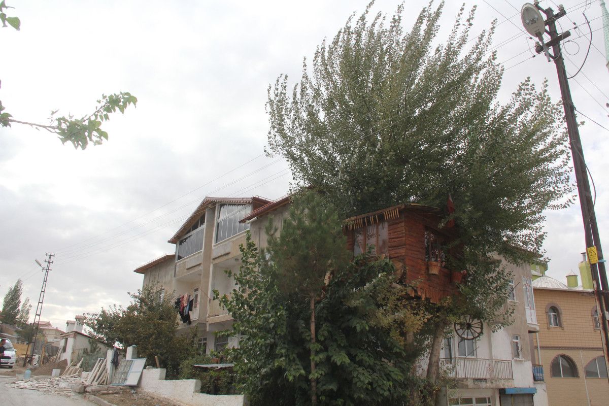 Sivas'ta Babası, Oğlunun Anısını Ağaç Evle Yaşatıyor