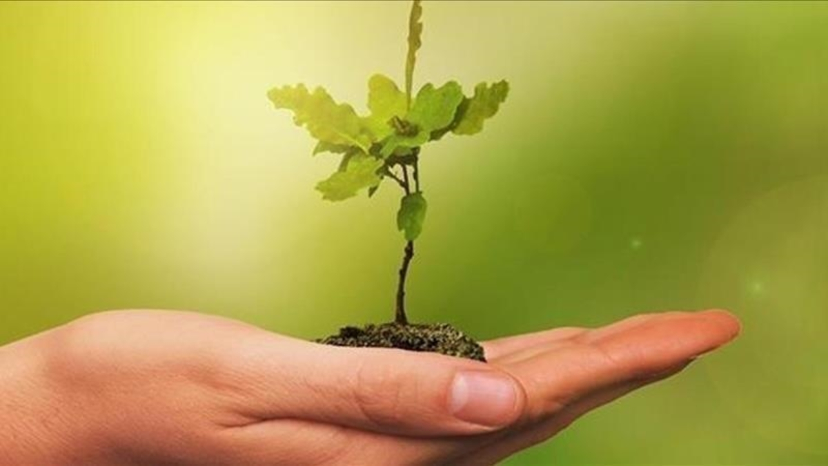 Sosyal Sorumluluk Alanında Başarılı Projeler