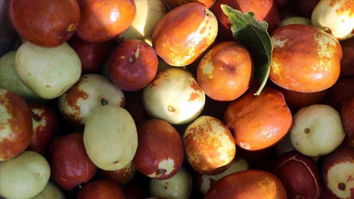 Hünnapın Sağlığa Faydaları ve Yetiştiriciliği