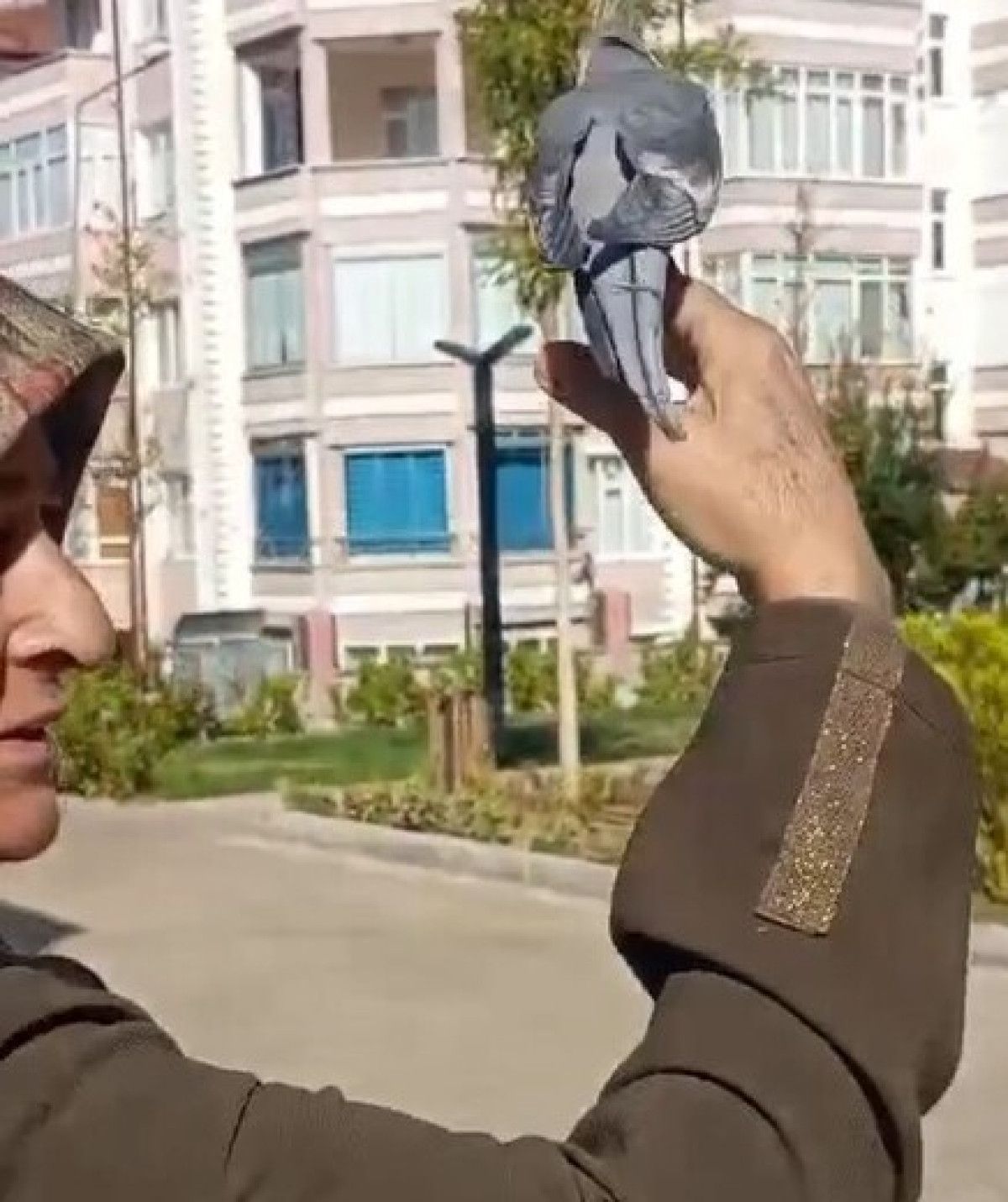 Akıllı ve Sevgi Dolu Bir Papağan