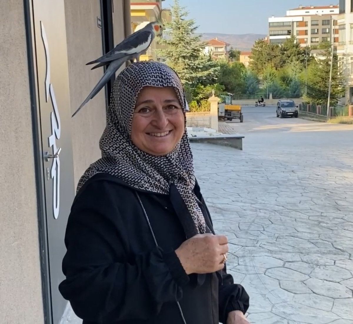 Tokatta Torunu İçin Kendi Çocuğu Gibi Gördüğü Papağan Sahiplendi