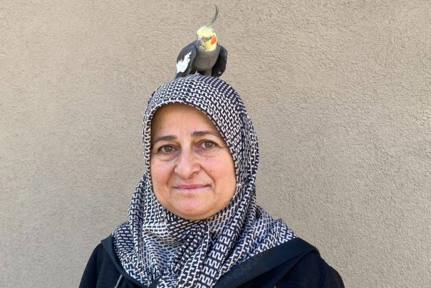 Tokatta Torunu İçin Kendi Çocuğu Gibi Gördüğü Papağan Sahiplendi