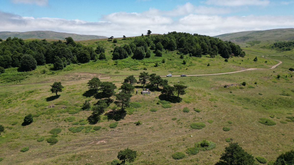 Tokat'ta Yalnız Çam Türbesiyle Sırlı Manevi İzler