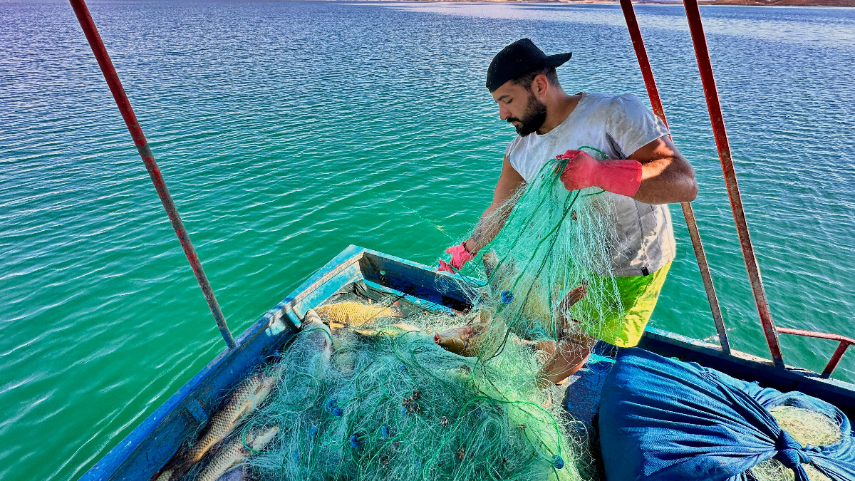 Balık Çeşitleri ve Ekonomik Kazançlar