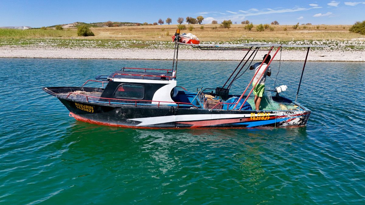 Balık Çeşitleri ve Ekonomik Kazançlar