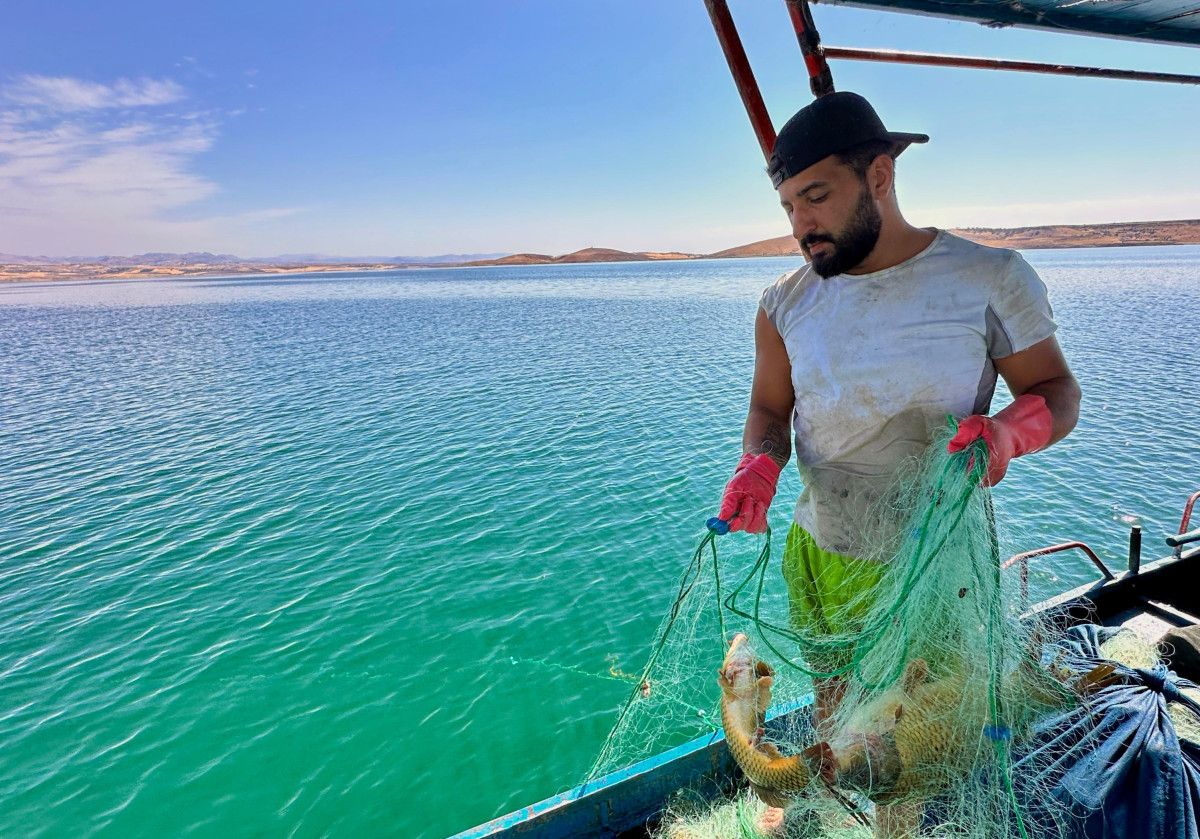 Balık Çeşitleri ve Ekonomik Kazançlar