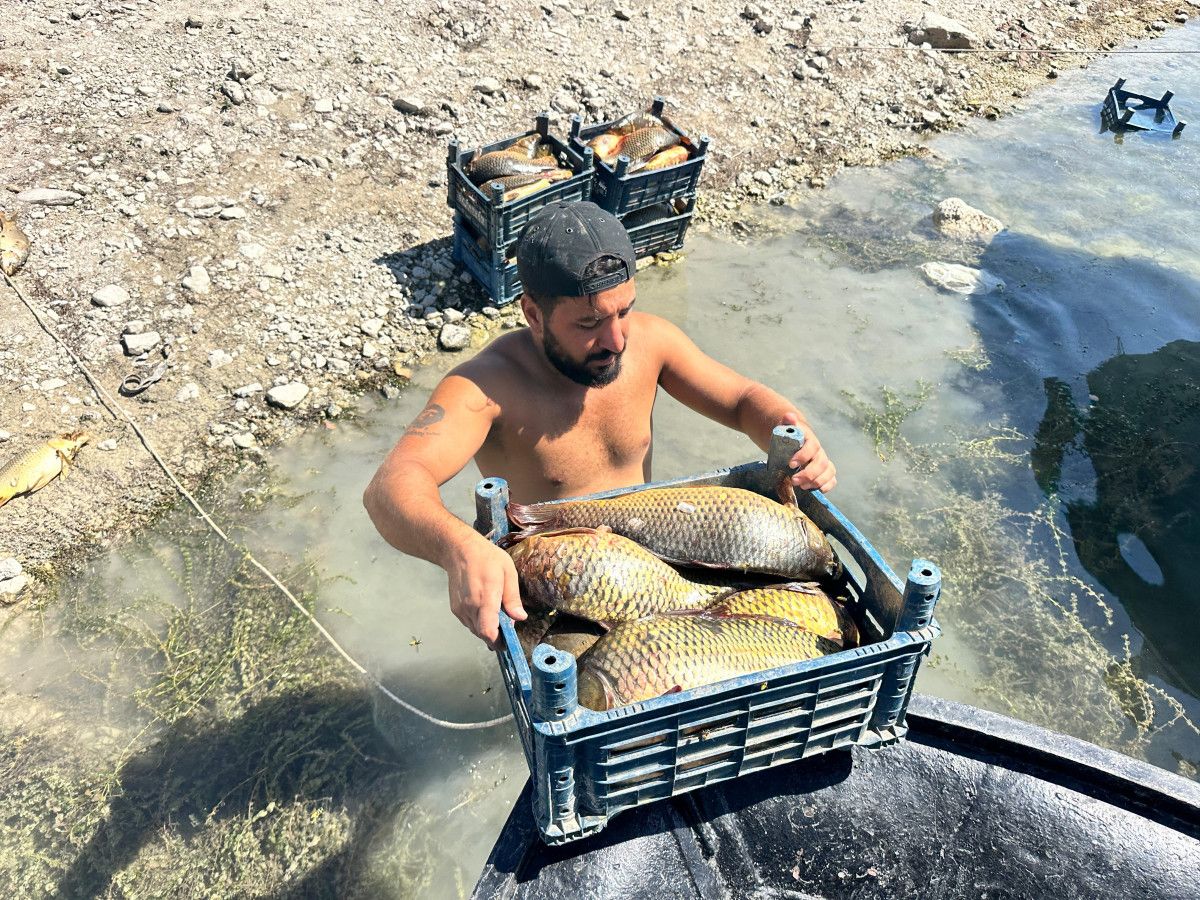 Tunceli'de Gölde Balık Avlayarak Ayda 200 Bin TL Kazanma Hikayesi