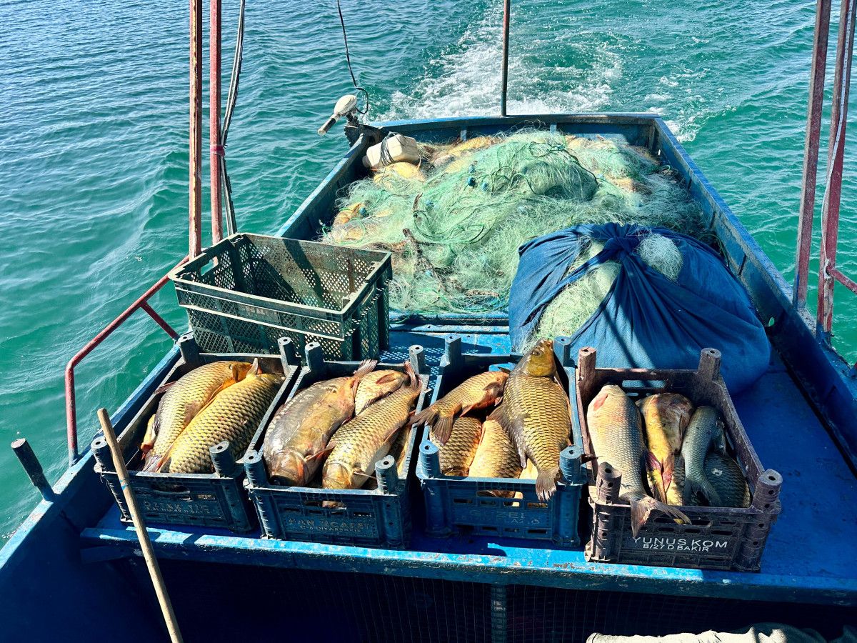 Tunceli'de Gölde Balık Avlayarak Ayda 200 Bin TL Kazanma Hikayesi
