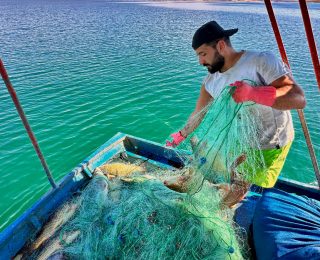 Tunceli’de Gölde Balık Avlayarak Ayda 200 Bin TL Kazanma Hikayesi