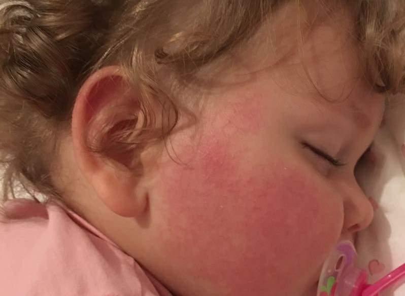 Temizlik ve Mutfak Hijyeni