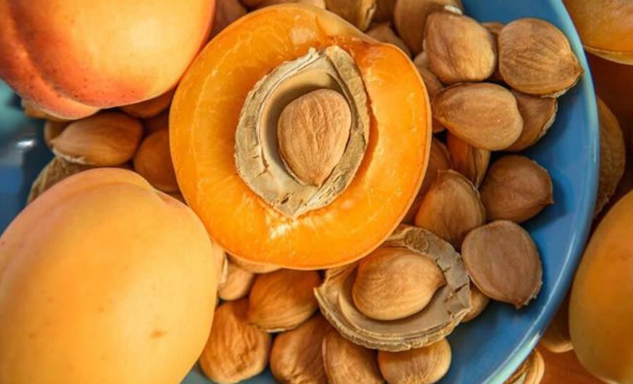 Uzman Uyarısı: Kayısı Çekirdeği Siyanür Saçıyor ve Aşırı Tüketimi Ölüm Riskini Artırıyor!