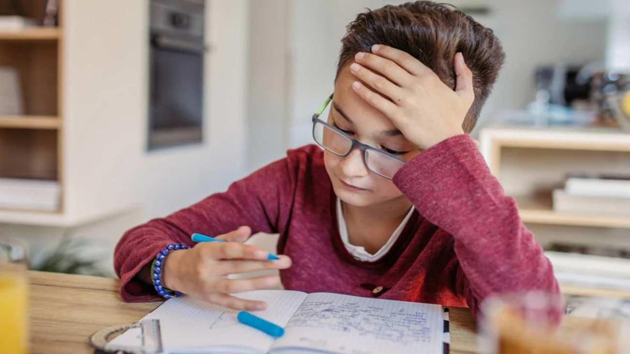 Sahte Siteler ve Kimlik Hırsızlığı Riski