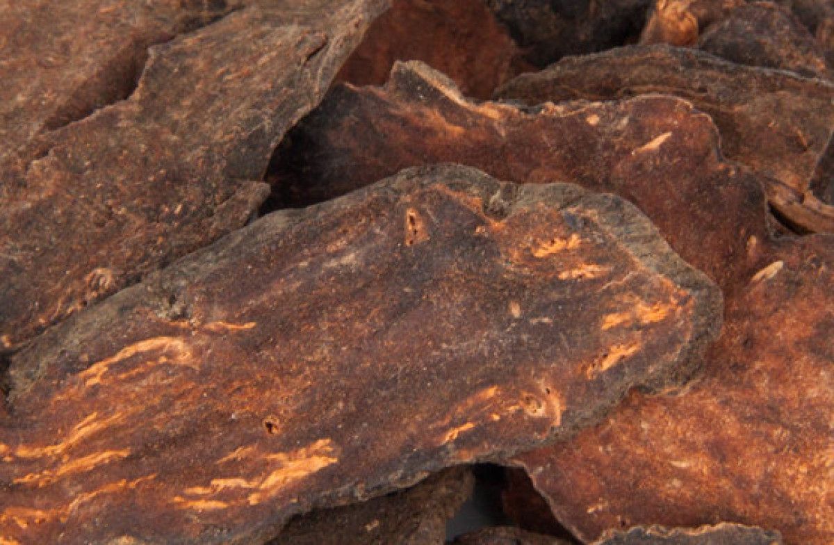 Uzun Ömür İçin Doğal Bir Sır: Fo-Ti Bitkisi